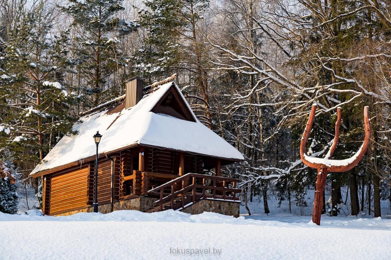 Ski Complex Logoysk ลากอยสก์ ภายนอก รูปภาพ